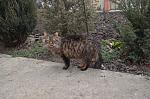     
: DSC_0011.jpg
: 13
:	186.5 
ID:	7975323