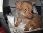     
: IMG_8732.jpg
: 3
:	98.6 
ID:	7977351