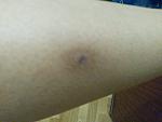     
: 20140407_083709.jpg
: 23
:	112.0 
ID:	7977779