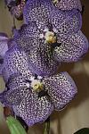     
: IMG_4460.jpg
: 12
:	128.3 
ID:	7981117