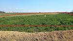     
: 20140408_120345.jpg
: 28
:	122.7 
ID:	7986122