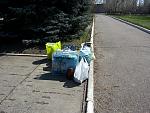     
: 20140408_115407.jpg
: 16
:	245.7 
ID:	7987422