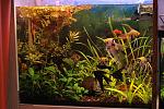     
: DSC_9369.jpg
: 15
:	180.7 
ID:	7987563