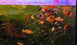     
: DSC_9370.jpg
: 13
:	104.3 
ID:	7987564