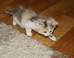     
: 9712501_326372389.jpg
: 6
:	226.0 
ID:	7987940