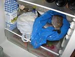     
: IMG_3735.jpg
: 31
:	145.6 
ID:	7989103