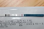     
: IMG_4064.jpg
: 37
:	77.5 
ID:	7991998