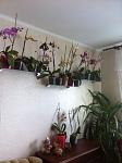     
: lP7QQxpA1B4.jpg
: 11
:	51.1 
ID:	7992863