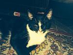     
: IS4hRf4nRsc.jpg
: 10
:	51.0 
ID:	7993399