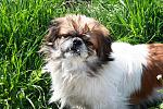     
: IMG_0921.jpg
: 14
:	201.8 
ID:	7993984