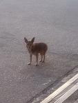     
: 20140409_190515.jpg
: 12
:	182.4 
ID:	7994091
