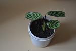     
: DSC_5191.jpg
: 8
:	50.1 
ID:	7996364