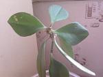     
: 2014-04-10 09.50.11.jpg
: 40
:	71.0 
ID:	7997082