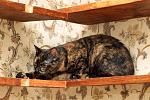     
: DSC_3188.jpg
: 10
:	180.2 
ID:	7998194