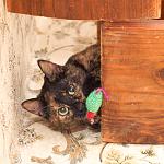     
: DSC_3214.jpg
: 16
:	149.6 
ID:	7998196