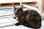     
: DSC_3143.jpg
: 7
:	119.5 
ID:	7998206