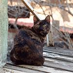     
: DSC_3146.jpg
: 16
:	134.0 
ID:	7998207