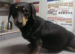    
: IMAG2521_500.jpg
: 13
:	23.6 
ID:	7998548