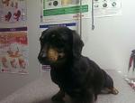     
: IMAG2514_500.jpg
: 15
:	25.0 
ID:	7998549