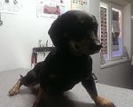     
: IMAG2517_500.jpg
: 15
:	24.0 
ID:	7998551