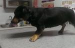     
: IMAG2524_500.jpg
: 11
:	20.2 
ID:	7998568