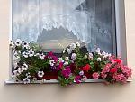     
: Фото0196.jpg
: 6
:	72.2 
ID:	8000309