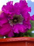     
: Фото0147.jpg
: 5
:	72.9 
ID:	8000310