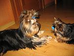     
: IMG_2488.jpg
: 66
:	165.2 
ID:	800117
