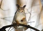     
: 3615931_large.jpg
: 16
:	151.6 
ID:	800238