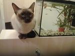     
: 20140411_224041.jpg
: 6
:	99.5 
ID:	8005445