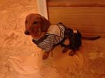     
: HbKtrldL0HM.jpg
: 8
:	83.1 
ID:	8005475