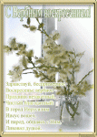     
: verba_2.gif
: 12
:	123.4 
ID:	8011711