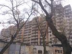    
: Фото0041.jpg
: 4
:	227.8 
ID:	8011918