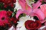     
: SIR_0851.jpg
: 8
:	119.9 
ID:	8011927