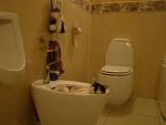     
: Изображение 167.jpg
: 3
:	83.7 
ID:	8013673