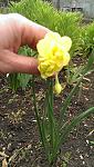     
: IMAG0142.jpg
: 5
:	140.3 
ID:	8014920