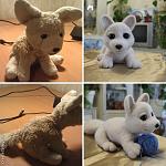     
: c_a748008035aaa6ea0327c05799bd628f (1).jpg
: 22
:	62.2 
ID:	8015009