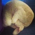     
: IMG_20140415_180000.jpg
: 5
:	77.5 
ID:	8025378