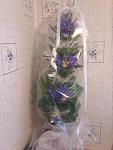     
: 20140224_141310.jpg
: 21
:	71.4 
ID:	8029277