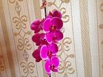     
: IMG_3147.jpg
: 6
:	150.7 
ID:	8030983