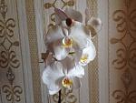     
: IMG_3143.jpg
: 6
:	133.2 
ID:	8030984