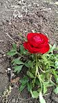     
: IMAG0213.jpg
: 6
:	143.8 
ID:	8032178
