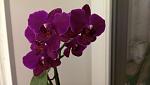     
: IMAG0188.jpg
: 6
:	58.3 
ID:	8032220