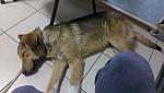     
: IMAG1085.jpg
: 8
:	102.9 
ID:	8032937