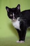     
: IMG_1988.jpg
: 9
:	48.6 
ID:	8033871