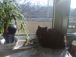     
: Фото3220.jpg
: 36
:	159.7 
ID:	8040032