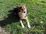     
: SDC12499.jpg
: 9
:	312.7 
ID:	8041350