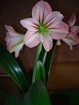     
: DSC01722.jpg
: 9
:	66.6 
ID:	8041629