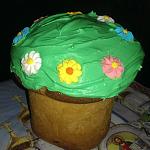     
: IMG_20140417_210513.jpg
: 25
:	97.1 
ID:	8041858