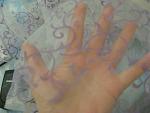     
: IMG_5185.jpg
: 18
:	120.2 
ID:	8044986